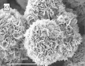 File:Nanoflowers.png