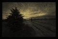 Thumbnail for version as of 22:07, 6 December 2007