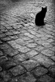 Thumbnail for version as of 04:04, 27 January 2008