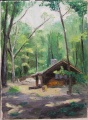 Thumbnail for version as of 06:55, 25 December 2009