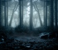 Thumbnail for version as of 02:48, 8 February 2015