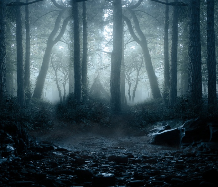 File:Animawoods.jpg
