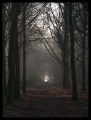 Thumbnail for version as of 03:07, 4 January 2008