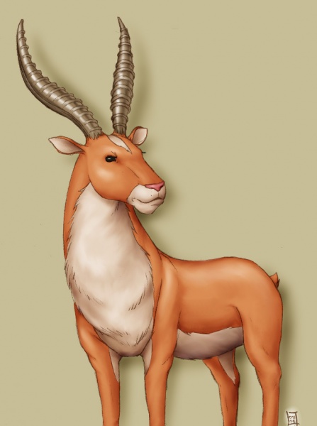 File:Red Elk.jpg